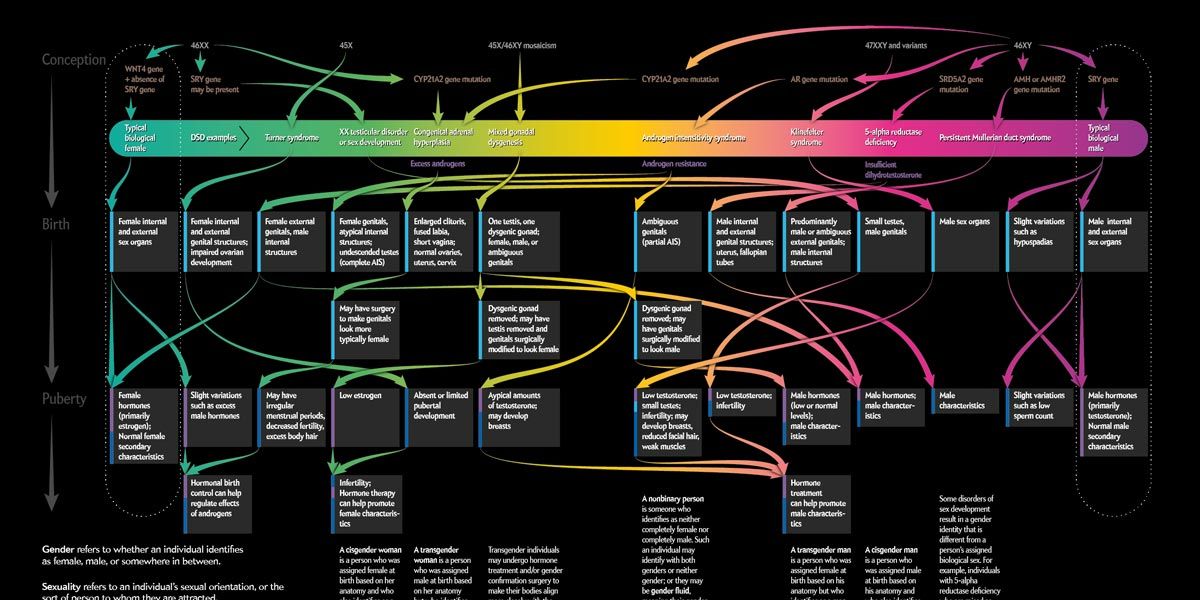 O que é uma mulher?