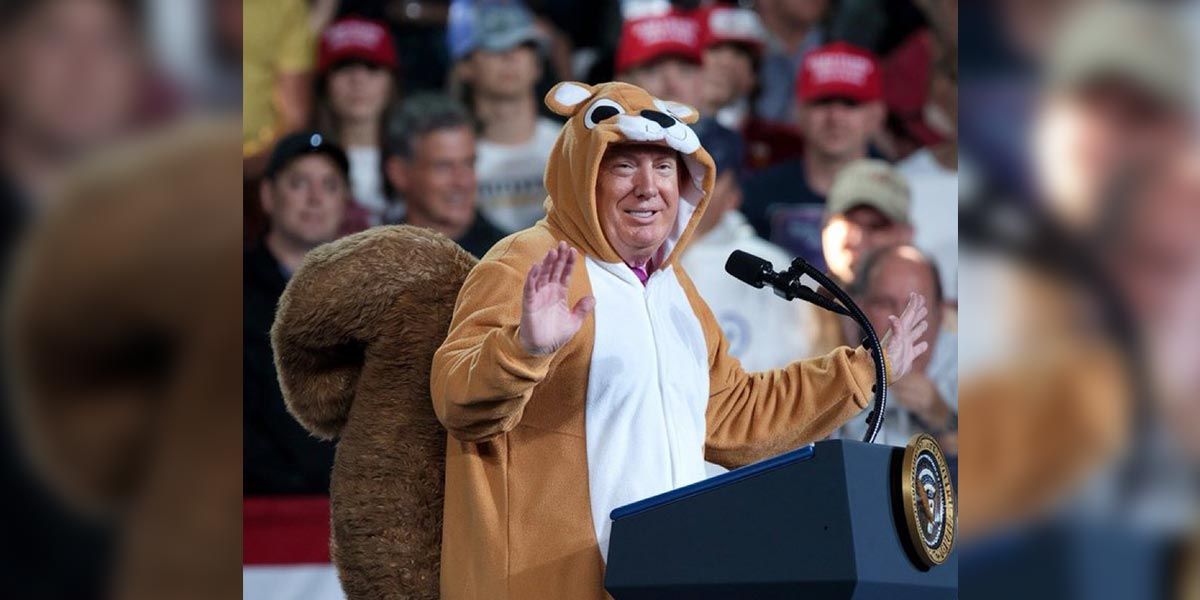 Peanut e a eleição americana.