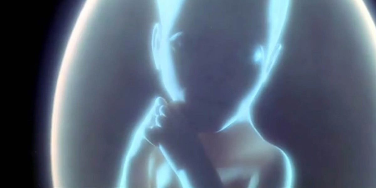 Filhos das estrelas.