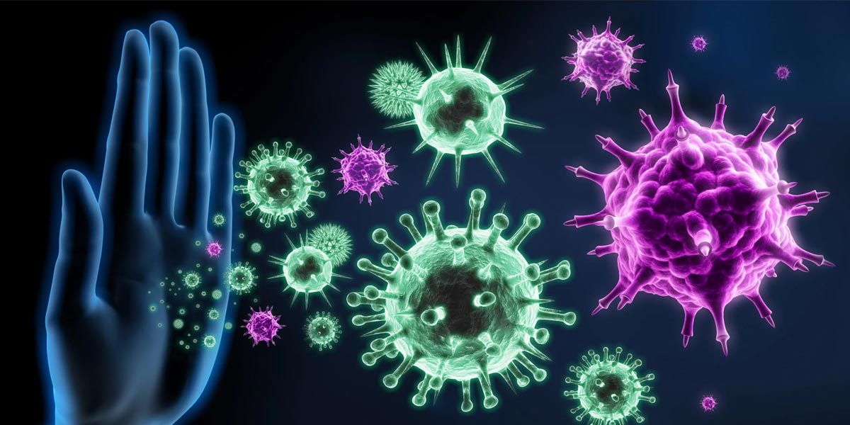 Sistema Imunológico