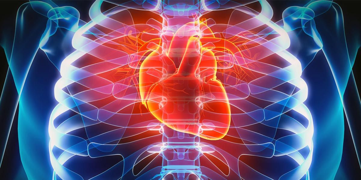 Ilusão de Transparência.