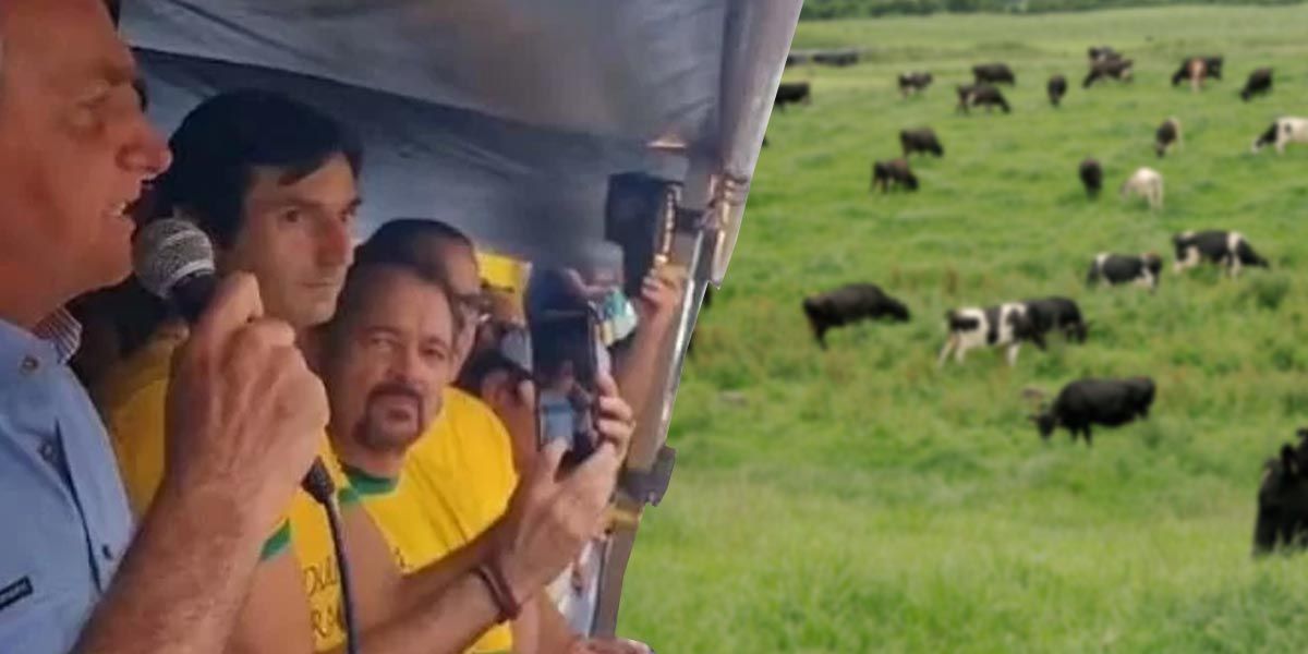 Pronunciaralho: 7 de Setembro.