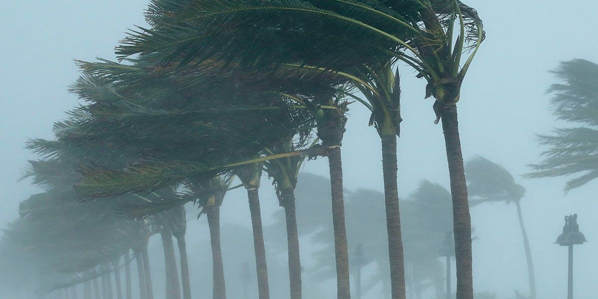 Sobrevivendo a Furacões.