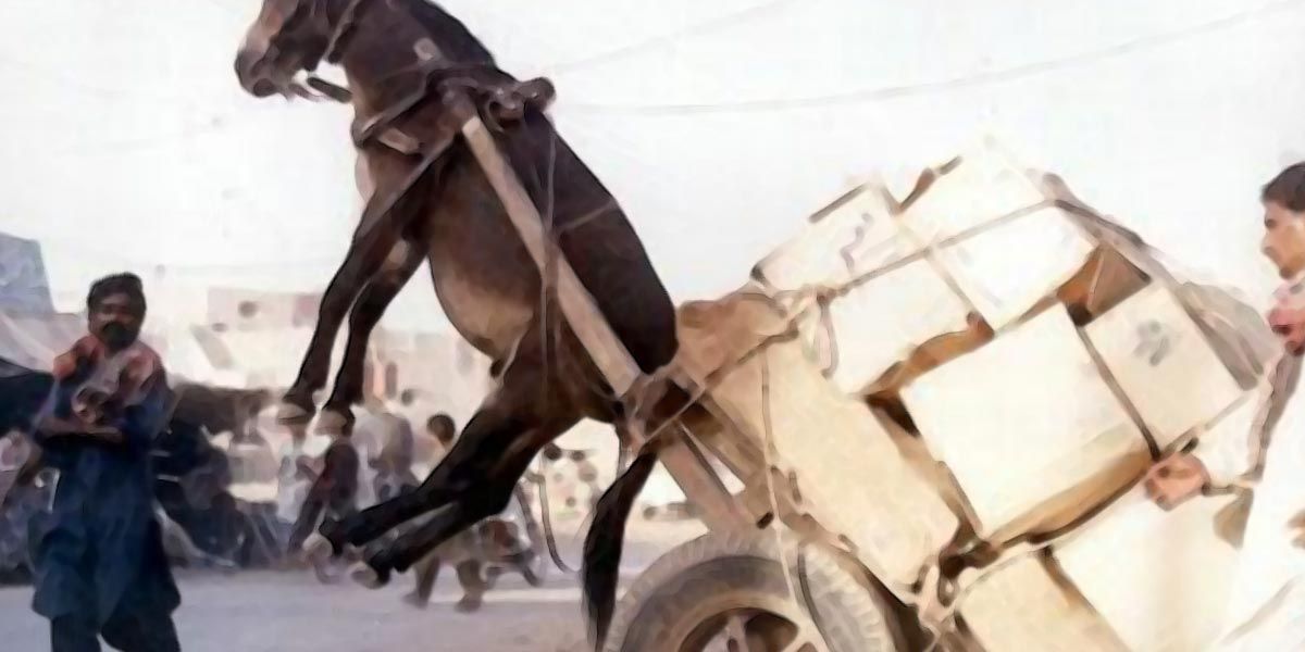 Desistir é preciso.