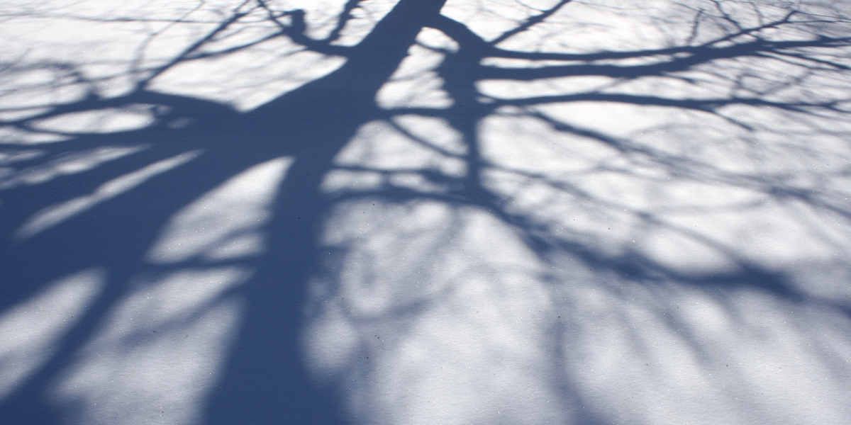 Relatos de um médium cético.