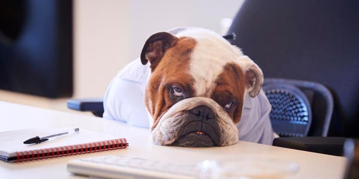 Crescimento difícil.