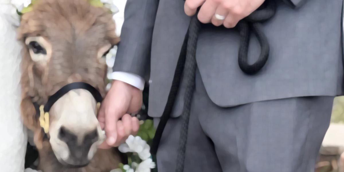 Simpatias para casamento.