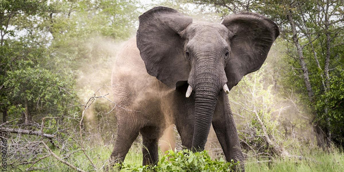 Mudança de hábito.