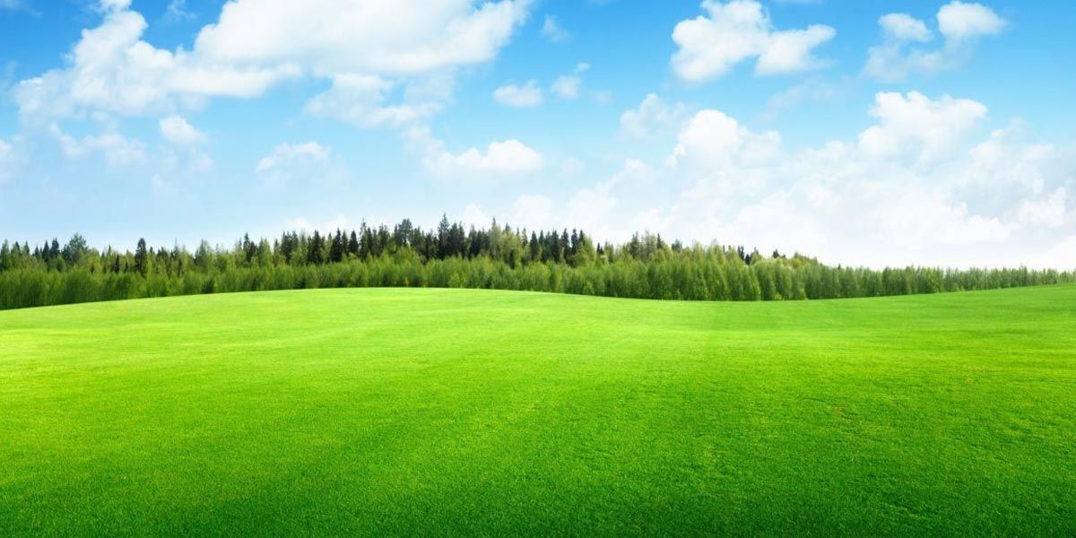 Dia da Mentira – 2020