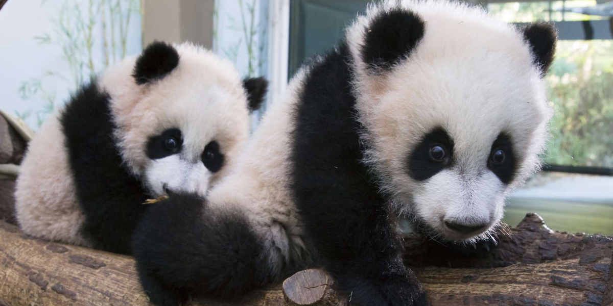 Relatos de um médium cético.