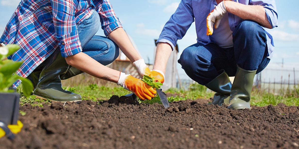 Cultivando relações.