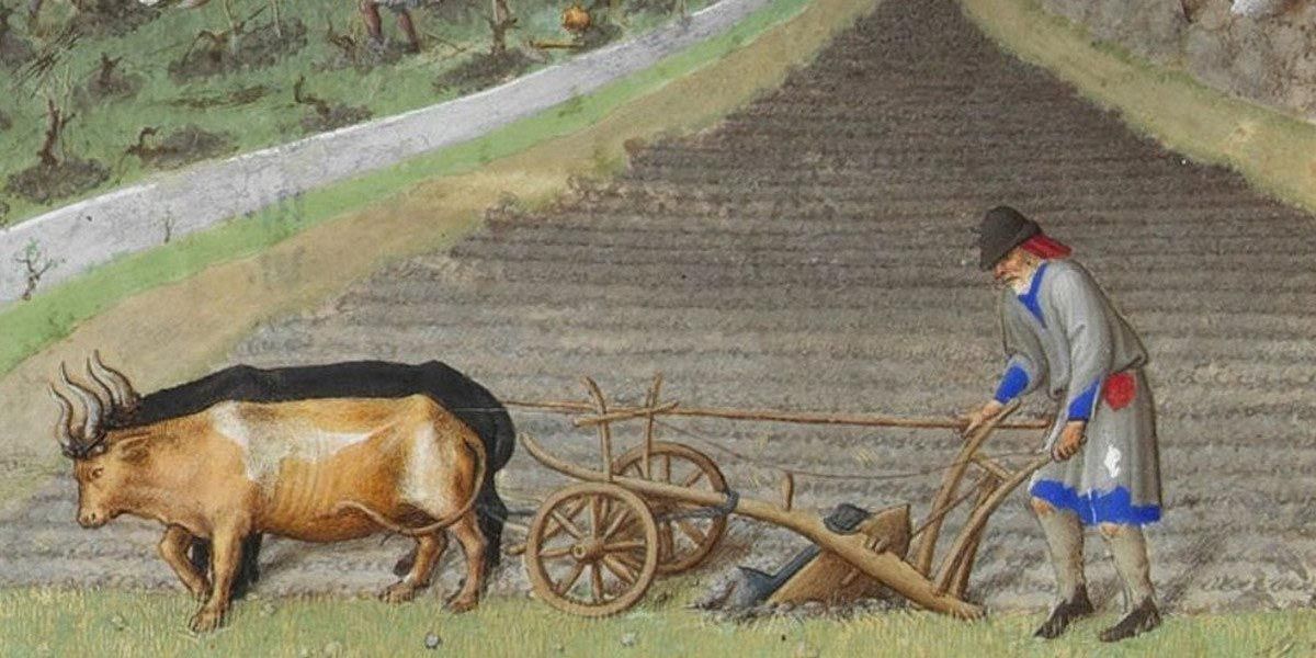 O ser humano do futuro.