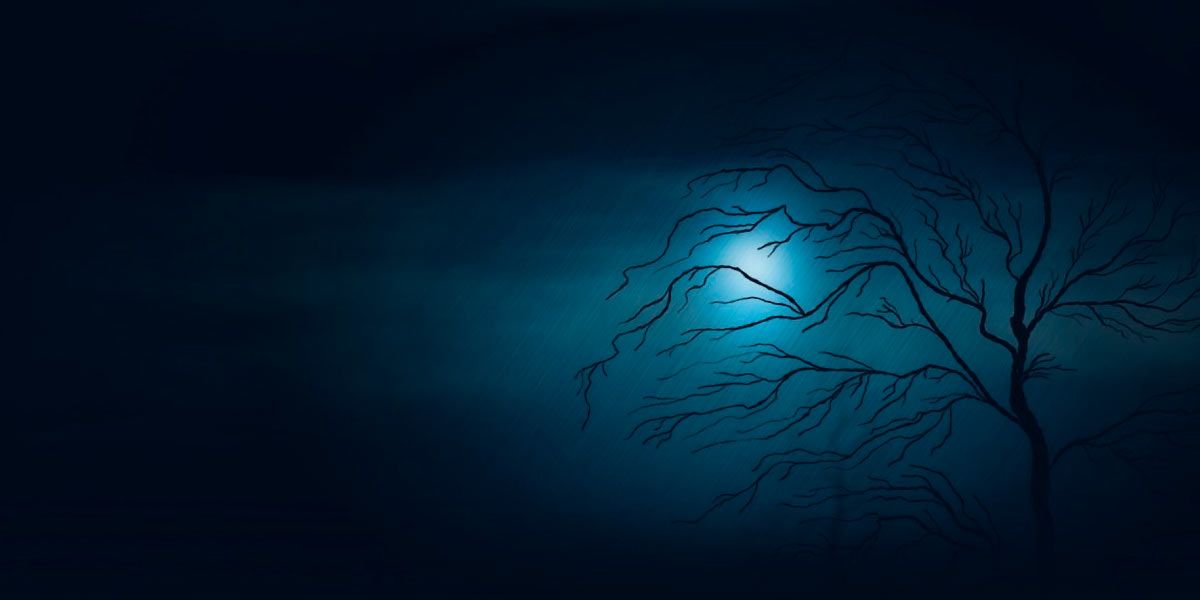 Relatos de um médium cético.