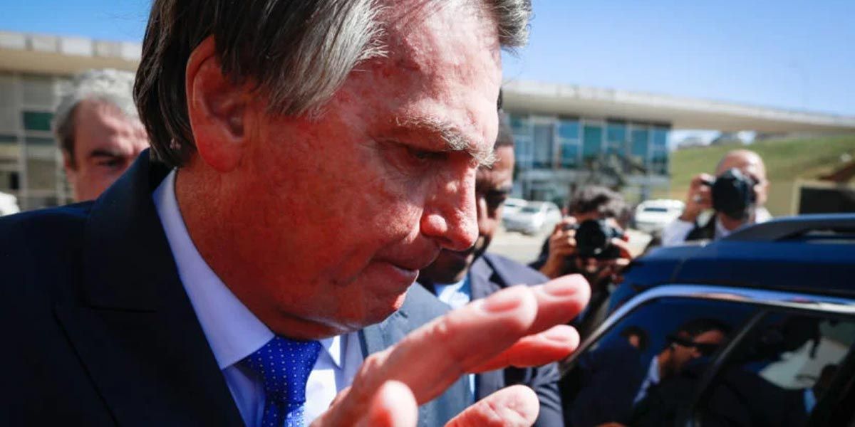 A volta dos que foram.